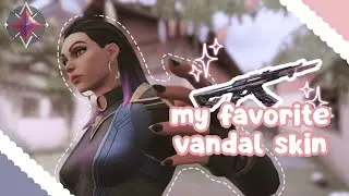 i bought ex.o vandal // reyna gameplay
