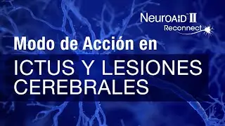 NeuroAiD &ndash; Modo de Acci&oacute;n &ndash; Ictus y Lesiones Cerebrales