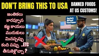 What Food Can You Carry to the USA? | US Customs Rules for International Travelers #usimmigration