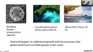 Morsels from Numbers and Nature Talk 19: David Talmy