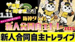 【 阪神 新人合同自主トレ LIVE 】 1/11 阪神タイガース 新人合同自主トレ 2026 新人自主トレをみんなで一緒に応援ライブ #全試合無料ライブ配信 #阪神ライブ ＃実況 #ライブ