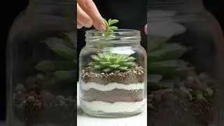 DIY Mini Succulent Terrarium in Under a Minute!