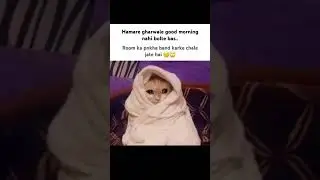 Acha tarika Good morning bolne ka😑 #memepage #funny #memehub #memesdaily #memer #memes