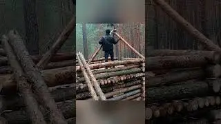 Building a home in forest alone #OffGridLiving#ForestCabin #MountainShelter #WildernessHome..