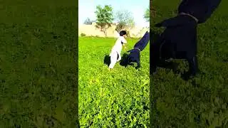 back flip easy tutorial