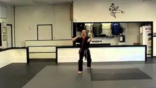 Purple Belt Hand Combination.m4v