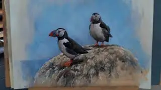 Wildlife Paintings Studio Exhibit video