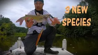Easy Way to Get New Fishing Spots!  3 MORE NEW SPECIES Caught!  618 Fishing Illinois EP 3