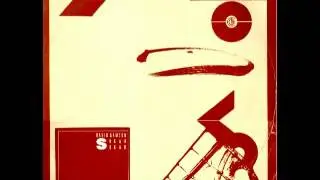 David Gamson- Sugar Sugar.flv