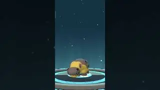 Hippowdon Evolution