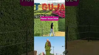 Flower Show Ahmedabad #flowershow 🌺🌸🪻🌼🌻 Flower Show at Riverfront Ahmedabad  #flowershowahmedabad