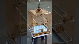 Natural Bamboo bird cage