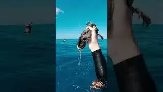 Trash 80 ft Deep Underwater #shorts
