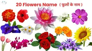 🌸20 Flowers Name with Facts for Kids | फूलों के नाम | Flowers Name with Pictures #gigglegardenkids 🌸