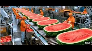 Watermelon Juice Production Line | From Raw Fruit to Bottled Juice