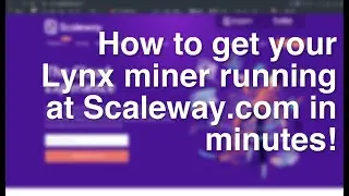 Setting up a Lynx miner at Scaleway!