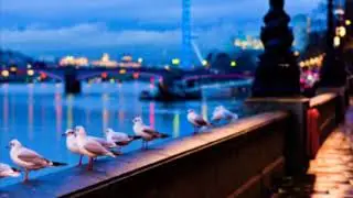 Asmr ~ Rain ~ Thunder ~ London ~ Gentle Whisper ~ Softspoken ~ 1:08 sample