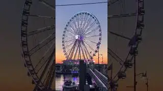Fred and Shalonda Gender Reveal (DC, MGM National Harbor)2021