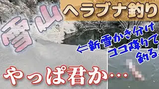 【厳寒期の5尺で段底】積雪40ｃｍのダム湖畔に何とか辿り着いてヘラブナ釣り！