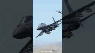 Lone Pilot in Hostile Skies! #echogamer #militarysimulation #combat #war #gaming #viral #action #jet