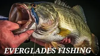 Fishing remote areas for Florida Black Bass in Everglades Ochopee FL