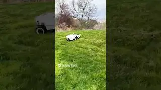 Got a robotic mower and it&rsquo;s awesome. Link in description. #lawncare