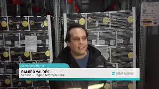 Primera exportaci&oacute;n de limones a China