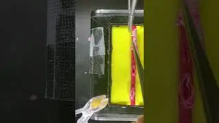 20251226