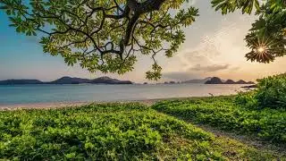 Calming Music for Sleep, Study & Relaxation | Peaceful Night Music