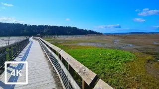 Billy Frank Jr. Nisqually National Wildlife Refuge | Boardwalk Walk Through Nature