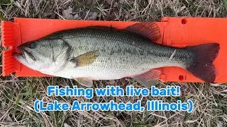 Fishing at Lake Arrowhead in Illinois with live bait mid March #fishing #fishinglife #fishingvideo