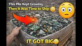 HUGE E-WASTE SHIPMENT ALERT! See the mountain of scrap about to get processed for serious cash.