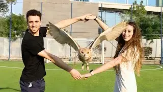 Remembering Diogo Jota &ndash; A Beautiful Day with Family at Famepark Dubai 🕊️❤️⚽ #diogojota