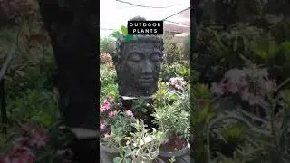 Welcome to DUBAI GARDEN CENTRE. Visit us on Sheikh Zayed Road, Al Qouz 3🌿🍀