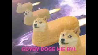 Animatrona... Zaczynam serię o DOGE i zwierzętach w internecie