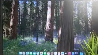 How to access storage settings on the Apple Mac mini M4