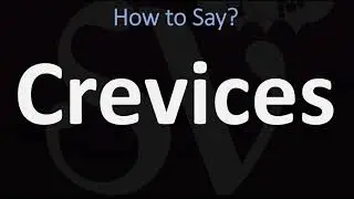 How to Pronounce Crevices? (CORRECTLY)