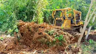 D6R XL Bulldozer Makes a Powerful Contribution to Plantation Development!