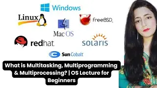 Multitasking vs Multiprogramming vs Multiprocessing | OS Concepts Explained Simply
