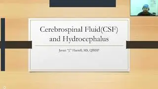Brain Injury Discussion: Episode 48, Cerebrospinal Fluid (CSF) and Hydrocephalus
