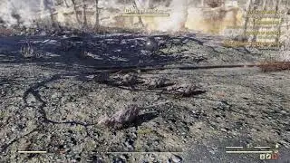 Fallout 76 Pied Piper Eyebot Random Encounter