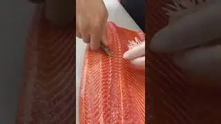 lihatlah bagaimana chef ini mencabuti duri ikan tuna sangat lihai dan nyaman untuk dilihat