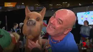 Neil Fanning Scooby Doo Voice Interview at Supanova Sydney on Weekend Sunrise 18 06 2023