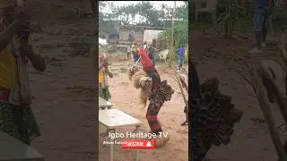 Igbo Tradition on Display! ✨ A Vibrant Cultural Festival #CulturalCelebration #AfricanVillageLife