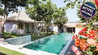 Guesthouse Mooz | Bali, Indonesia | Hotel Review 🛏️