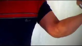 Biceps forearms pump with plenty of veins and flesh. Season gaining lean muscle.