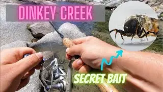 Dinkey Creek California Trout Fishing Under a Bridge - We Found The Secret Bait For A Quick Limit