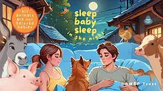 Sleep Baby Sleep In The Night  | RAP | Animal Lovers | Pet Parents | AWBP Trust | Lakshman Molleti