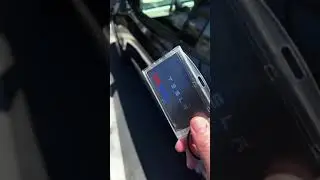 Rent a Tesla with AVIS??