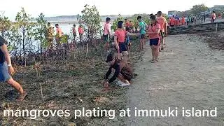 Mangroves Planting at Immuki island # immuki